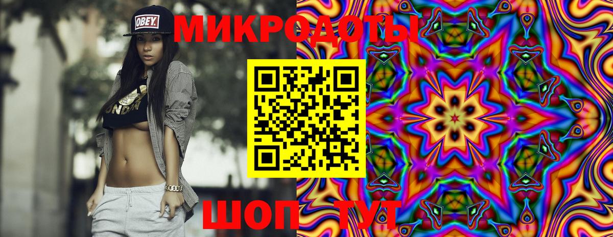 Псилоцибиновые грибы Psilocybine cubensis  Вход с VPN  Сунжа 