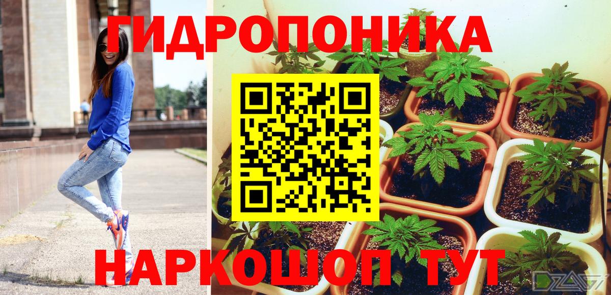 Канабис Ganja  Вход с VPN  Канабис White Widow  Сунжа 